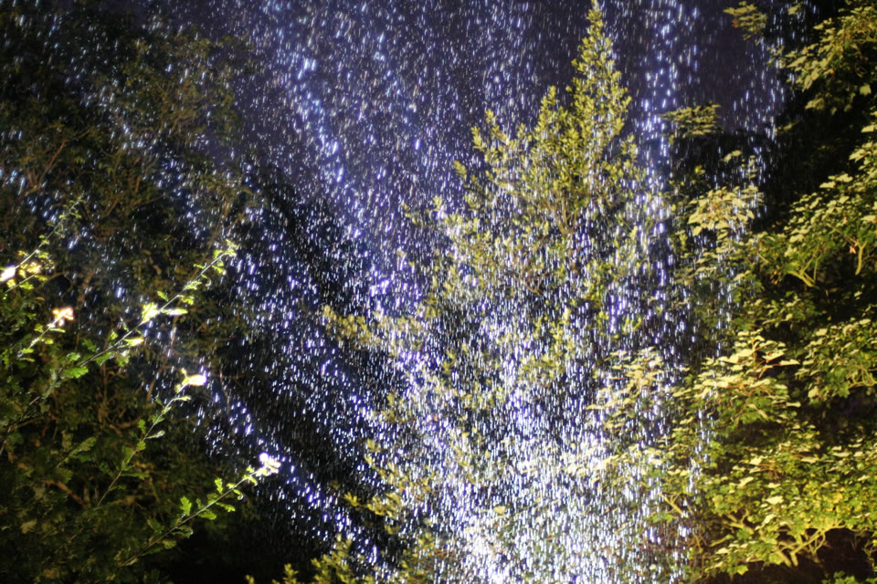 Rain caught in a spotlight, The Spiegel Garden, Edinburgh