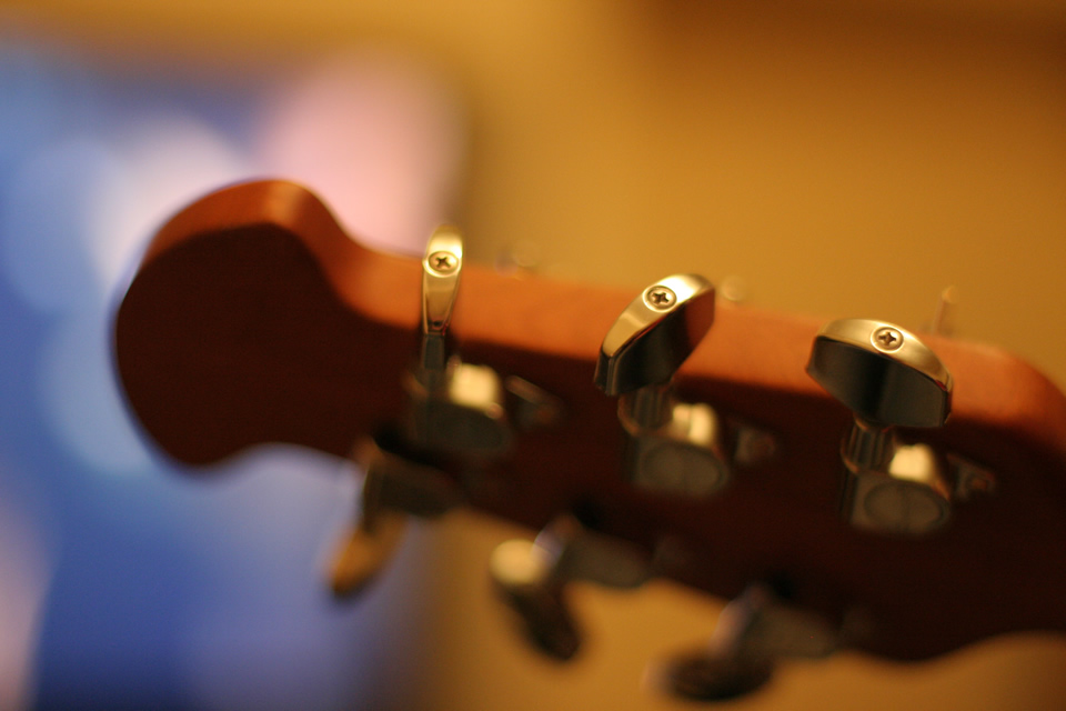 Guitar headstock