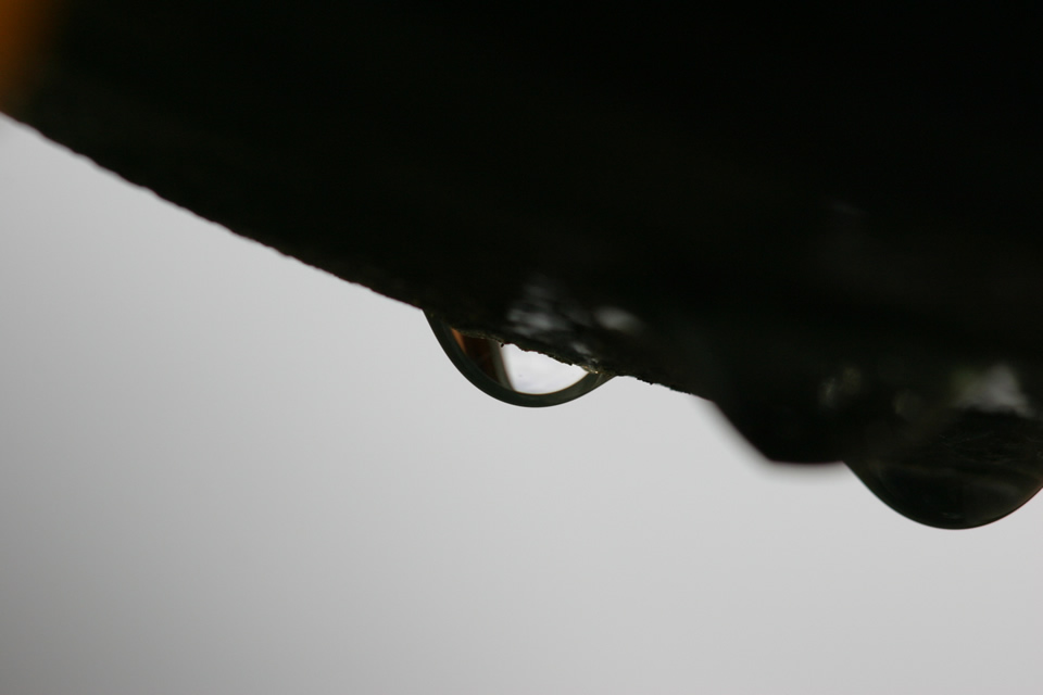 Water drop (Sensor dust removed)