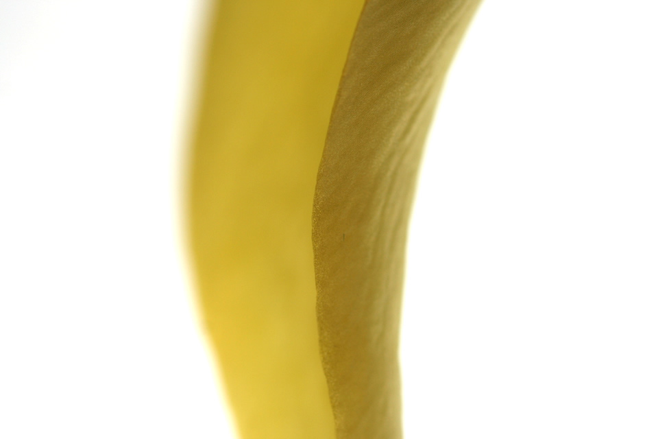 Edge of a yellow flower petal