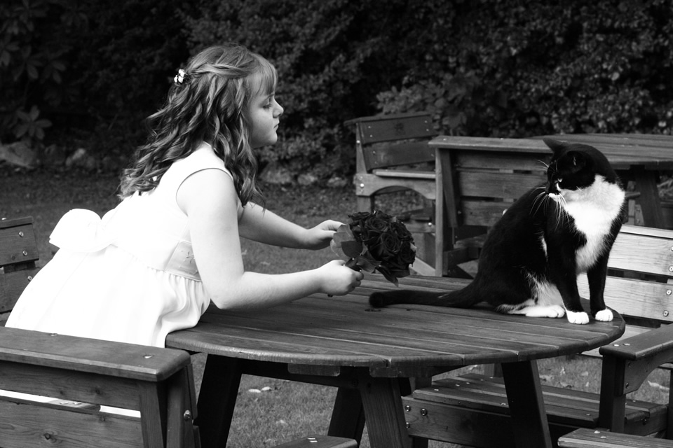 Bridesmaid with bouquet and a cat