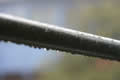Rain on a metal bar