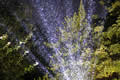Rain caught in a spotlight, The Spiegel Garden, Edinburgh