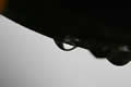 Water drop