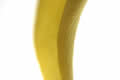 Edge of a yellow flower petal