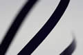 Purple ribbon (levels adjusted)