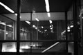 Reflections of lighting, Stafford Train Station
